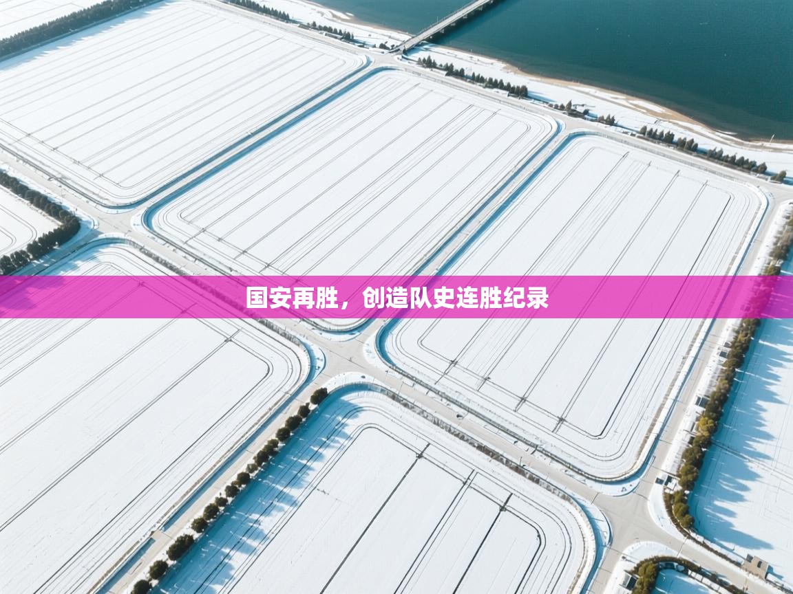 国安再胜，创造队史连胜纪录  第2张